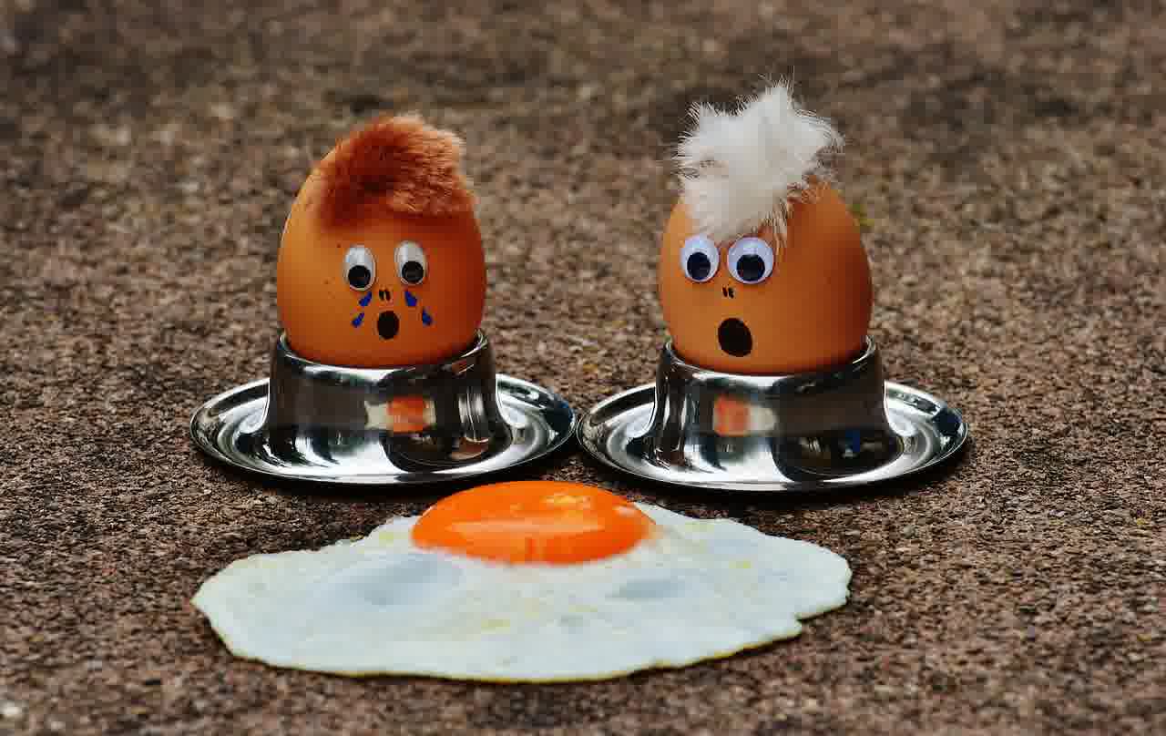 최신판 무료 다운로드 EGG 압축 풀기 알집