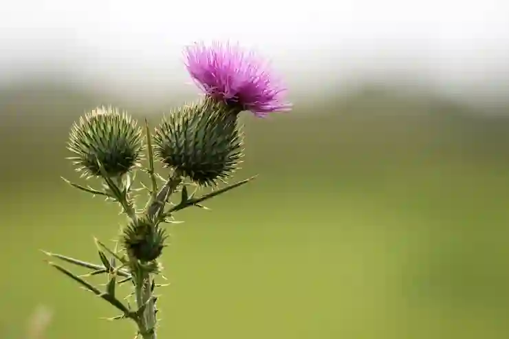 삼성페이 카드 등록 삭제 사용법 최신판