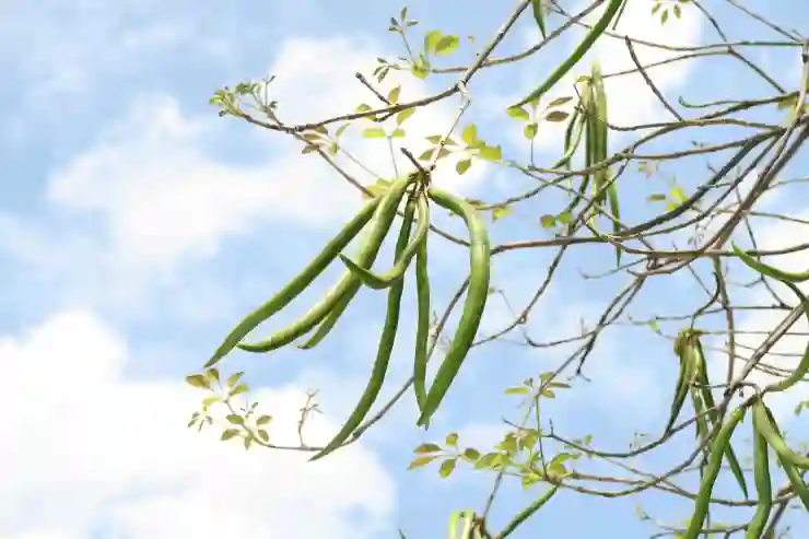 내 아이피 주소 확인과 추적의 모든 것 알아보기