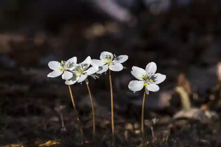 소상공인 방역지원금 천만원 지급 대상 시기 총정리와 알아보기