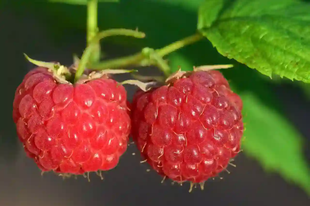 미니 PC의 세계: 아두이노와 라즈베리 파이4, 파이5의 모든 것 알아보기