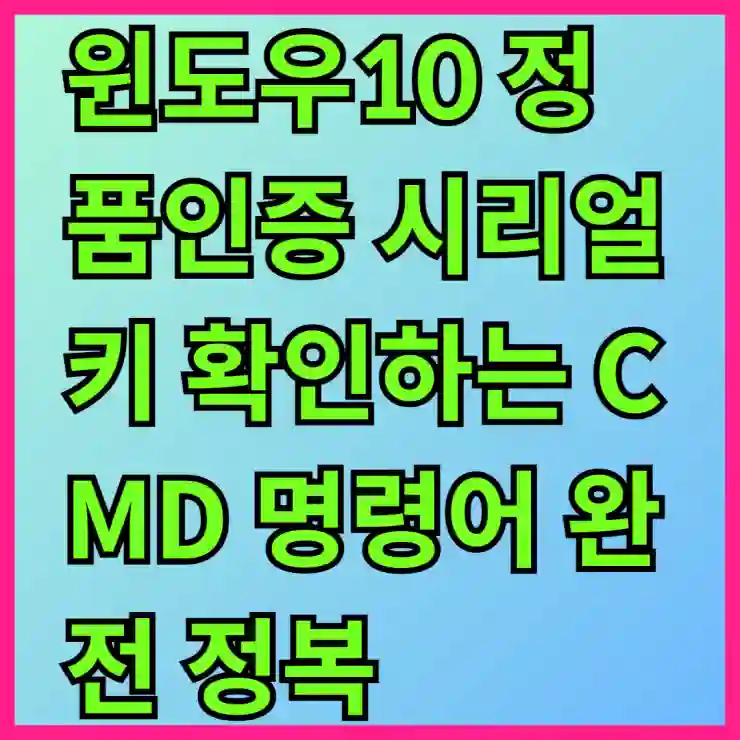 윈도우10 정품인증 시리얼키 확인하는 CMD 명령어 완전 정복!