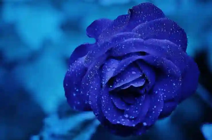 아이폰 공장 초기화 쉽게 하는 법 알아보기