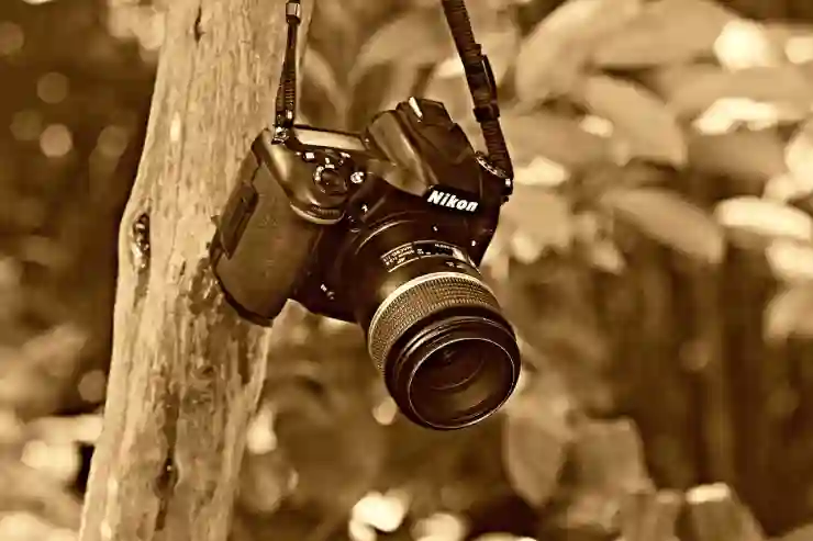 니콘 카메라 D750 D780 D500 DSLR 4K 카메라 특징