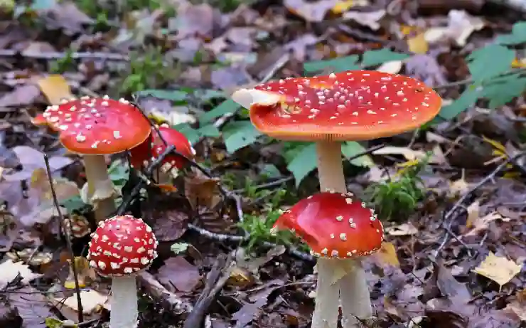 EZGIF로 동영상 gif 변환 블로그 움짤 만들기