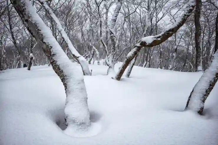 서울사이버대학교 신설 AI부동산빅데이터학과 소개