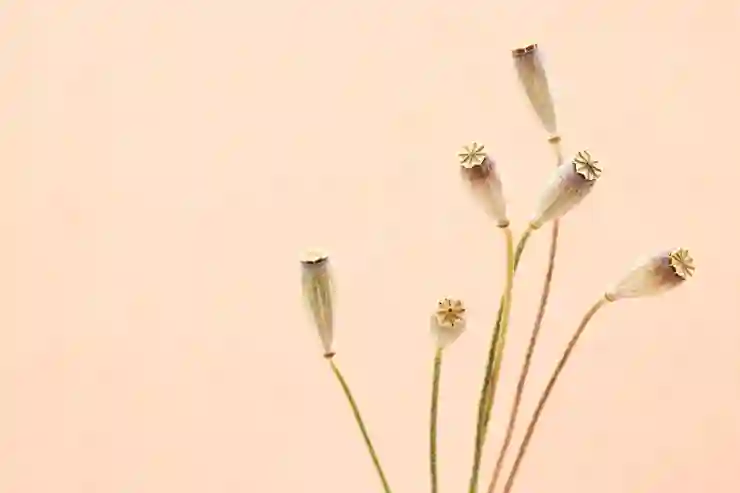 네이버 웨일 브라우저 다크모드 완벽 활용법 알아보기