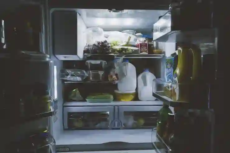 김치 애호가를 위한 미니 디오스의 매력 알아보기