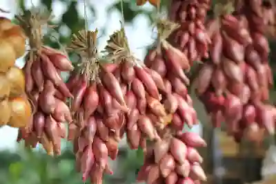 갤럭시 벨소리와 알람 설정의 모든 것 알아보기