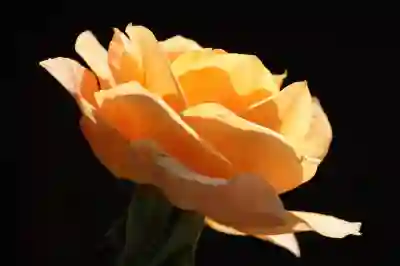 갤럭시 워치4 완벽 설정 가이드: 필수 기능과 최적화 팁 총정리