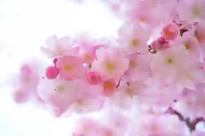 갤럭시버즈플러스 완벽 충전 활용법 알아보기