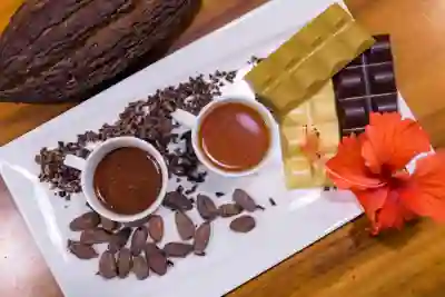 카카오톡 아이디 쉽게 찾는 방법 알아보기