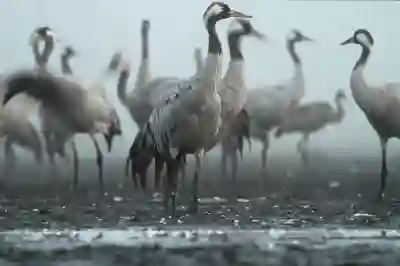 ICLOUD 아이클라우드 저장공간백업 사진 사용법