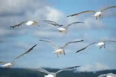 나의 에어팟 프로2 찾기 총정리