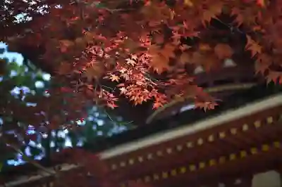 누끼따기사이트 이미지 배경제거 누끼따는 법