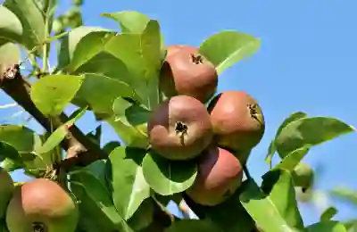 아이패드 프로 7세대 11 및 애플펜슬 호환 분석