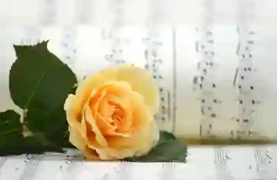 유튜브 백그라운드 재생 아이폰 PIP 사용법