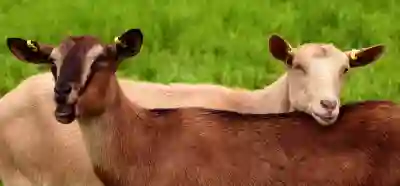 인스타 차단 당하면 디엠 및 해제 방법