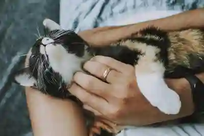 카카오톡백업 카톡 복원 방법 대화내용포함