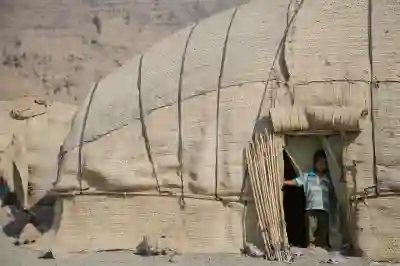 캐논 5dmark4 캐논6dmark2 m6mark2 DSLR카메라 추천