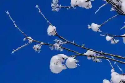 황유민, 시즌별 우승 전략