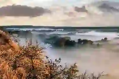 LG 제습기 원격제어 기능 활용법 알아보자