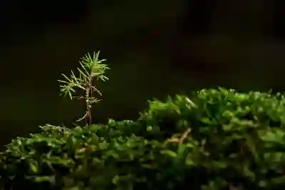 LG 틔운 미니 키트로 식물 키우기 꿀팁