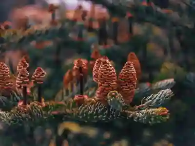 USB 썬더볼트4와 썬더볼트3의 차이점 알아보자