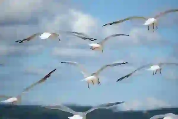 아이폰 위치추적 나의아이폰찾기 꿀팁