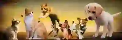 포토샵 그라데이션 사진편집 프로그램 이미지 배경 그라디언트 정복하기