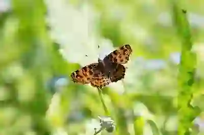 구글 지도 타임라인 위치추적하기