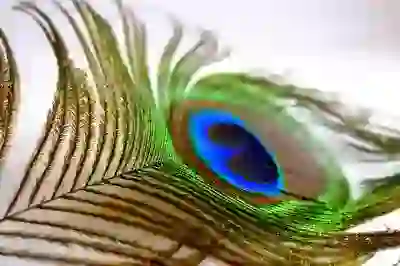 아이폰13 가격 핑크 그린 블랙 시에라블루 실버 색상 스펙