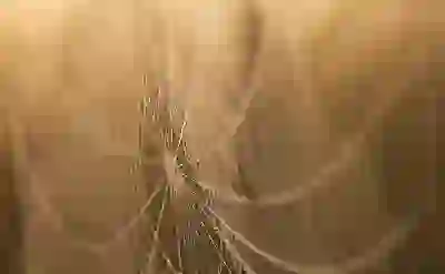 웹브라우저 크롬 마이크로소프트엣지 기본 브라우저 설정 방법