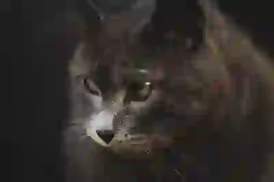 카톡 차단 당하면 카톡 메세지 차단 확인방법 송금 프로필까지