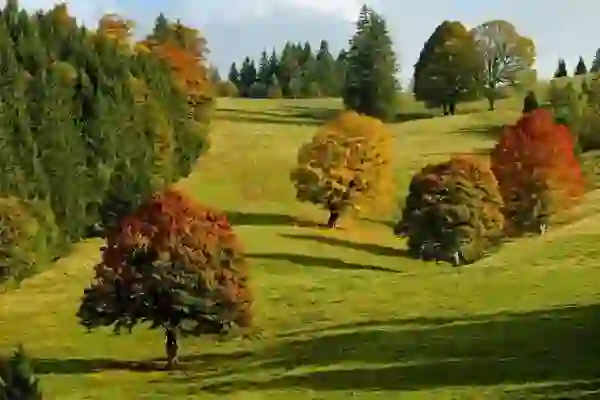 갤럭시탭 A8 10인치 갤럭시탭A8.0 인강용 태블릿 추천 8인치 가성비 비교