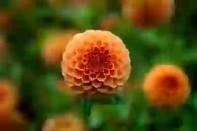 트위터 탈퇴 방법 : 트위터X 계정 삭제