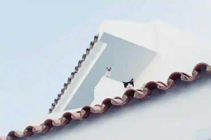 네이버 플러스 멤버십 해지 티빙 한달무료 방법