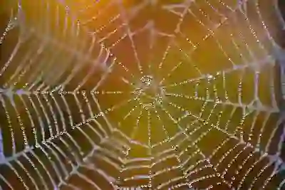 샤오미 미패드 6프로 미패드5 4 5프로 비교