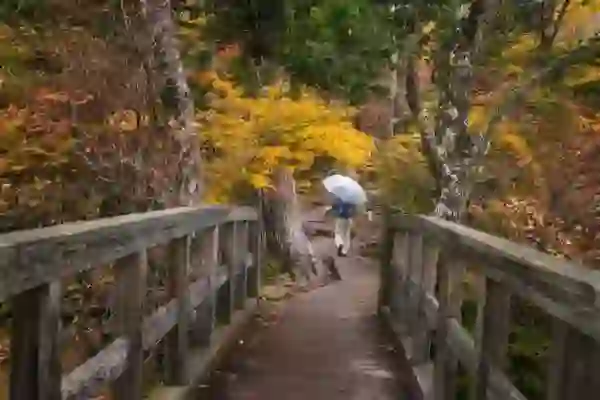 갤럭시 S22 플러스 S22+ 크기 스펙 아직 쓸만함