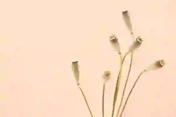 텔레그램 PC 다운로드 설치 사용법