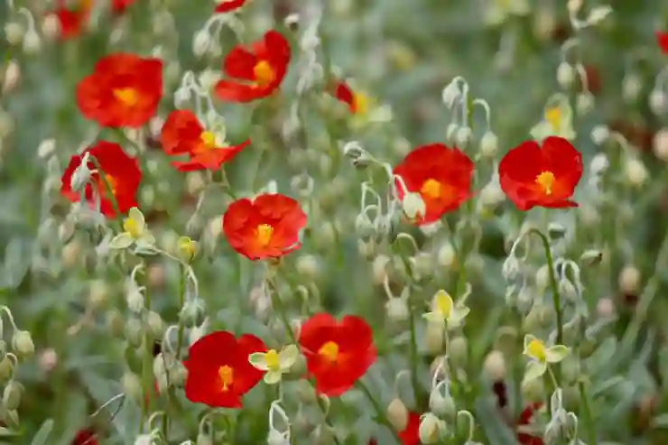 갤럭시 노트9 삼성 S9 플러스 S9+ 시리즈