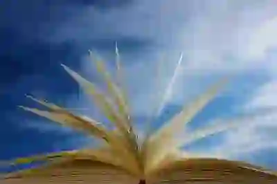 구글폼 설문지 만들기 및 구글 스프레드시트