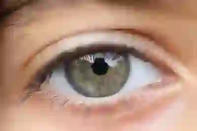 HTML PDF 변환 PDF파일변환 : 어도비 PDF 뷰어 애크로뱃