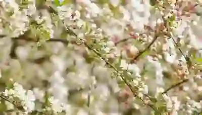 아이폰 아이패드 애플케어플러스 가입방법