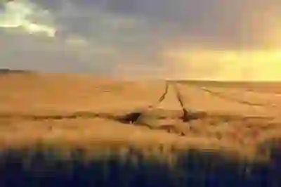 네이버 이미지 검색 스마트 쇼핑렌즈 네이버앱