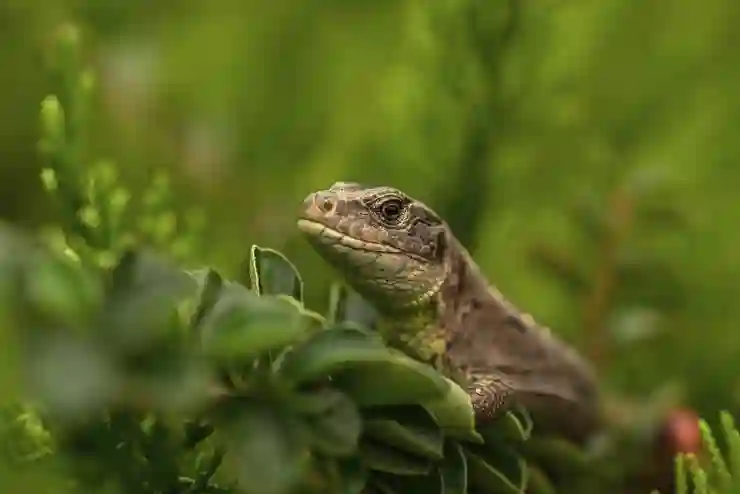애플워치 울트라2 스마트워치 추천 비교