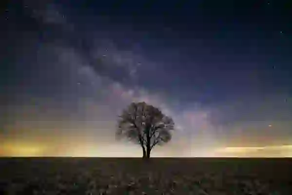 갤럭시 A20 와이드4 와이드5 삼성보급형 스마트폰 총출동 비교