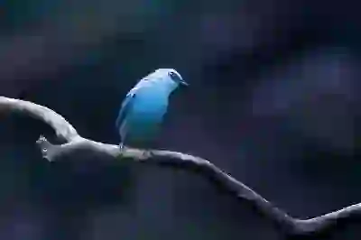 갤럭시탭S8 울트라 S8+ 플러스 FE 태블릿 PC 비교