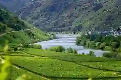 아웃룩 메일 연동 네이버메일 가져오기