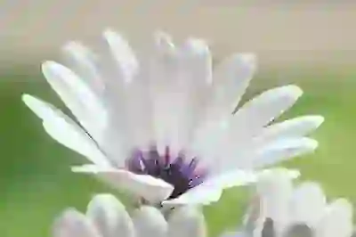 갤럭시 노트10과 노트10+에서 삼성 이어폰 활용하기 꿀팁